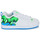 Shoes Men Low top trainers DC Shoes COURT GRAFFIK White / Blue