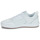 Shoes Men Low top trainers DC Shoes TRANSIT White / Gum