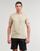 Clothing Men Short-sleeved t-shirts Teddy Smith SOY 2 MC Beige
