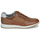 Shoes Men Low top trainers Geox AVERY Brown
