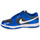 Shoes Women Low top trainers Nike DUNK LOW ESS Blue / Black