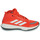 Shoes Basketball shoes adidas Performance Bounce Legends Red