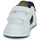 Shoes Children Low top trainers Polo Ralph Lauren HERITAGE COURT BEAR EZ White / Marine / Yellow
