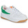 Shoes Women Low top trainers Fila FXVENTUNO GS White / Green
