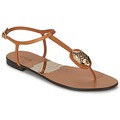 Roberto Cavalli  XPX243-PZ220  womens Flip flops / Sandals (Shoes) in Brown