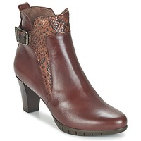 Shoes Women Ankle boots Wonders SAVODIA Brown