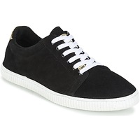 Shoes Women Low top trainers Chipie JERBY Black / Gold
