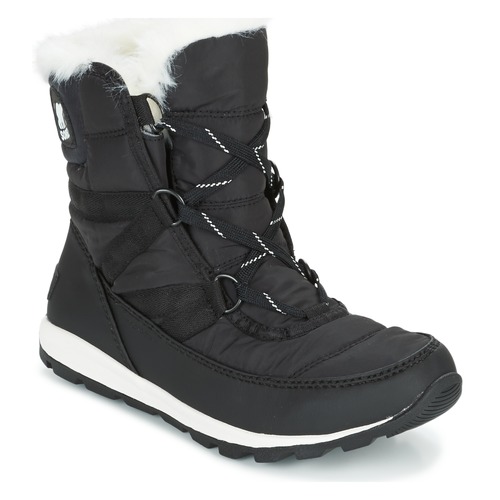 Shoes Women Mid boots Sorel WHITNEY SHORT LACE Black