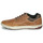 Shoes Men Low top trainers Caterpillar Colfax Brown