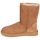 Shoes Women Mid boots UGG Australia CLASSIC SHORT II Camel