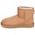Shoes Women Mid boots UGG Australia CLASSIC MINI II Camel