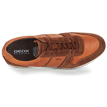 Geox CLEMENT Brown