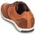 Shoes Men Low top trainers Geox CLEMENT Brown