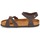 Shoes Women Sandals Birkenstock KUMBA SFB Brown