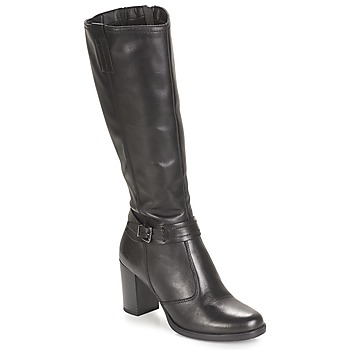 Shoes Women High boots André PHARA Black